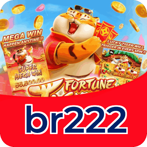 Instalação PC br222